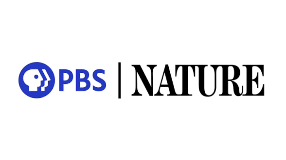 PBS Nature